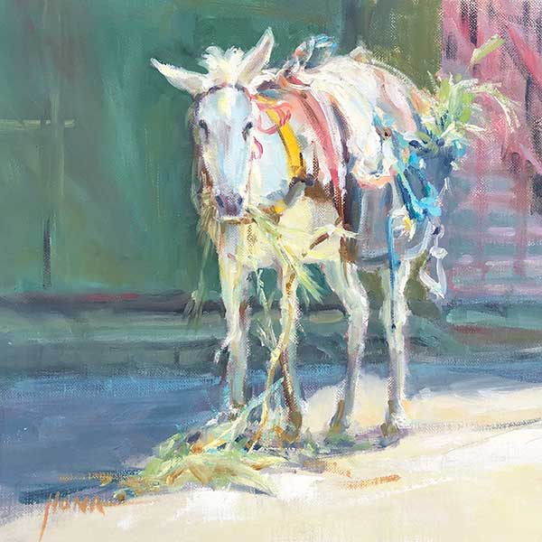 donkey, donkey eating, oil painting, regina hona artist, small painting, donkey morocco,