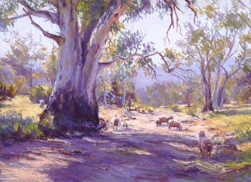 into the light, australian artist, country, flinders ranges, gum trees, landscape painting, painting, pastel, regina hona art, rural, South australia, trees,
