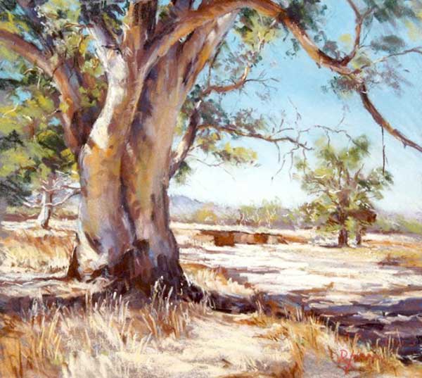 pastel painting, flinders ranges south australia, tree subject, moralana drive, landscape painting, regina hona artist,
